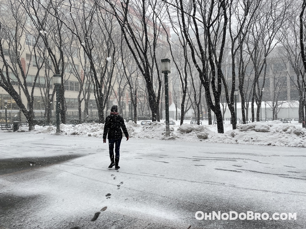 Jay Street Metrotech in the snow