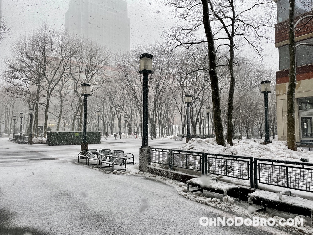 Jay Street Metrotech in the snow